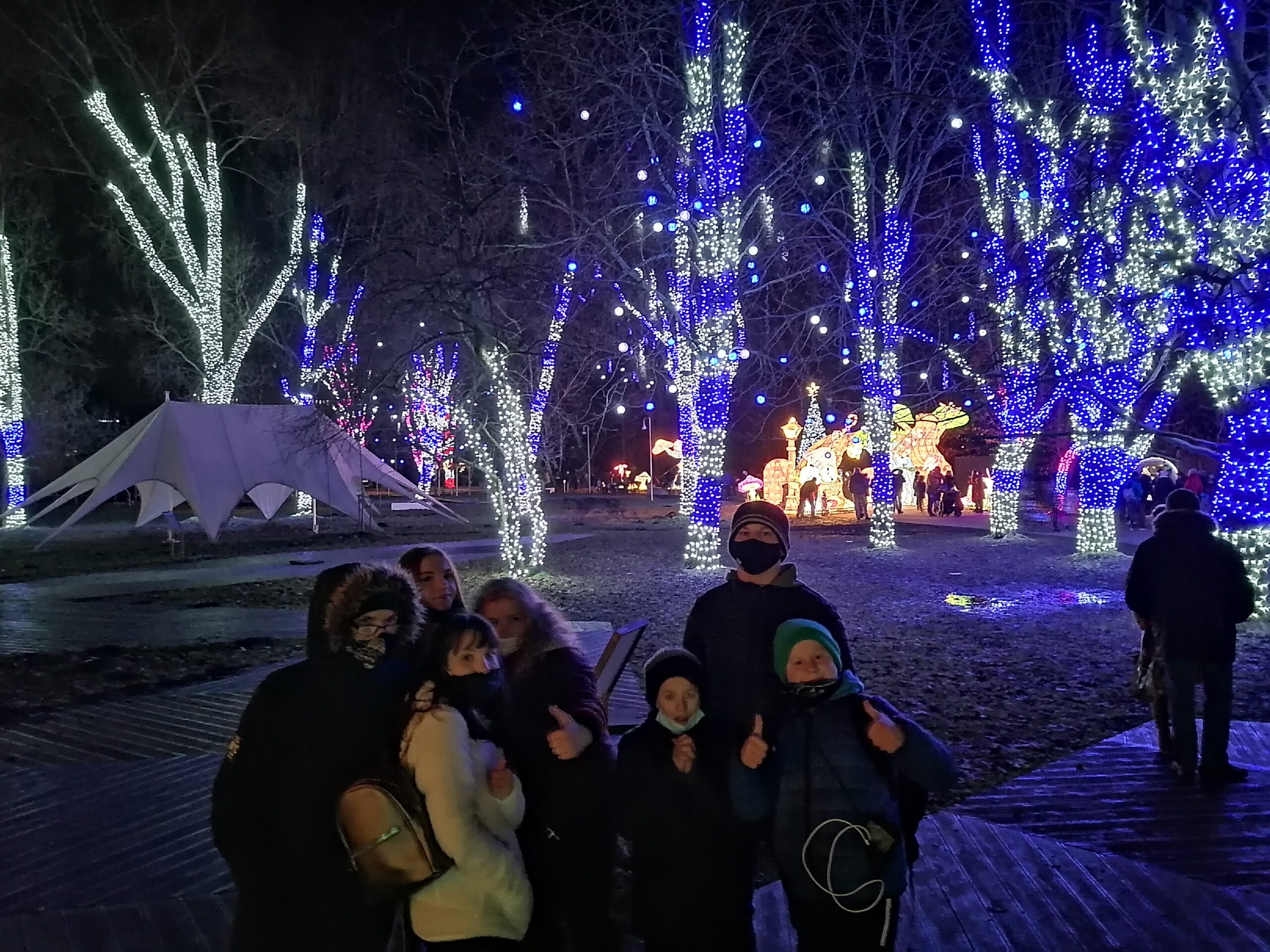 Read more about the article Alicja w Krainie Czarów – Ogród Świateł 08.01.2021